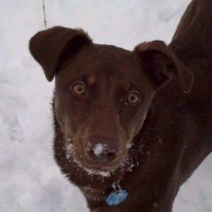 Meet your Posher, Lisa